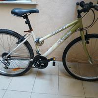 Bicicletta Mtb