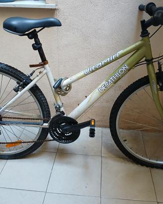 Bicicletta Mtb