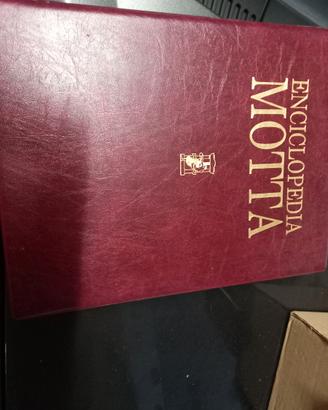 enciclopedia Motta Programma statistico