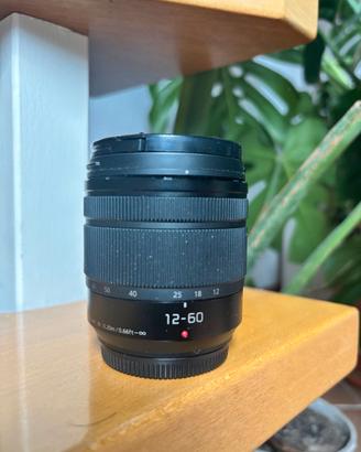 Panasonic Lumix G Vario 12-60mm f/3.5-5.6 OIS