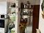 Immagine 7