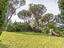 Immagine 29