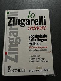 Vocabolario lingua italiana