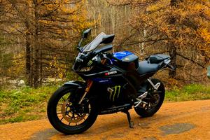 Yamaha R125 - Monster Edition
