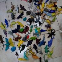 Gommosi animali dell'edicola 