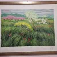 quadro 