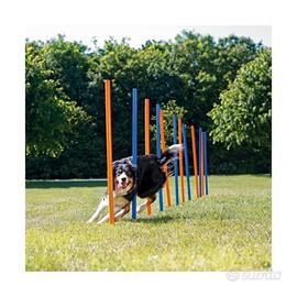 Trixie Gioco Slalom Agility per Cane