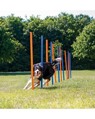 Trixie Gioco Slalom Agility per Cane