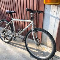 Mountain bike