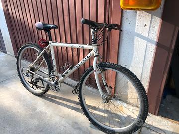 Mountain bike