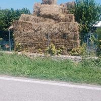 Ballette di fieno rettangolari