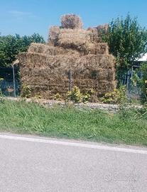 Ballette di fieno rettangolari