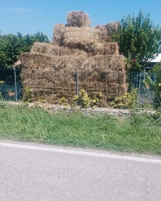 Ballette di fieno rettangolari