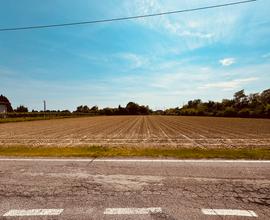 Terreno agricolo Chirignago-Gazzera / Asseggiano