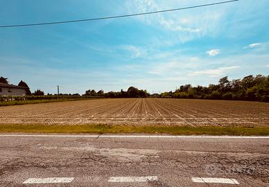 Terreno agricolo Chirignago-Gazzera / Asseggiano