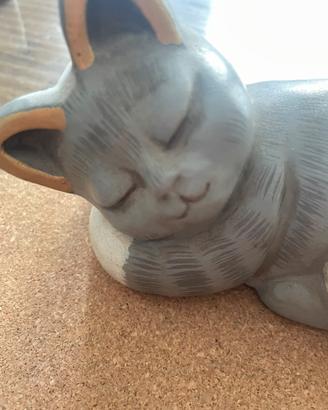 Thun gatto