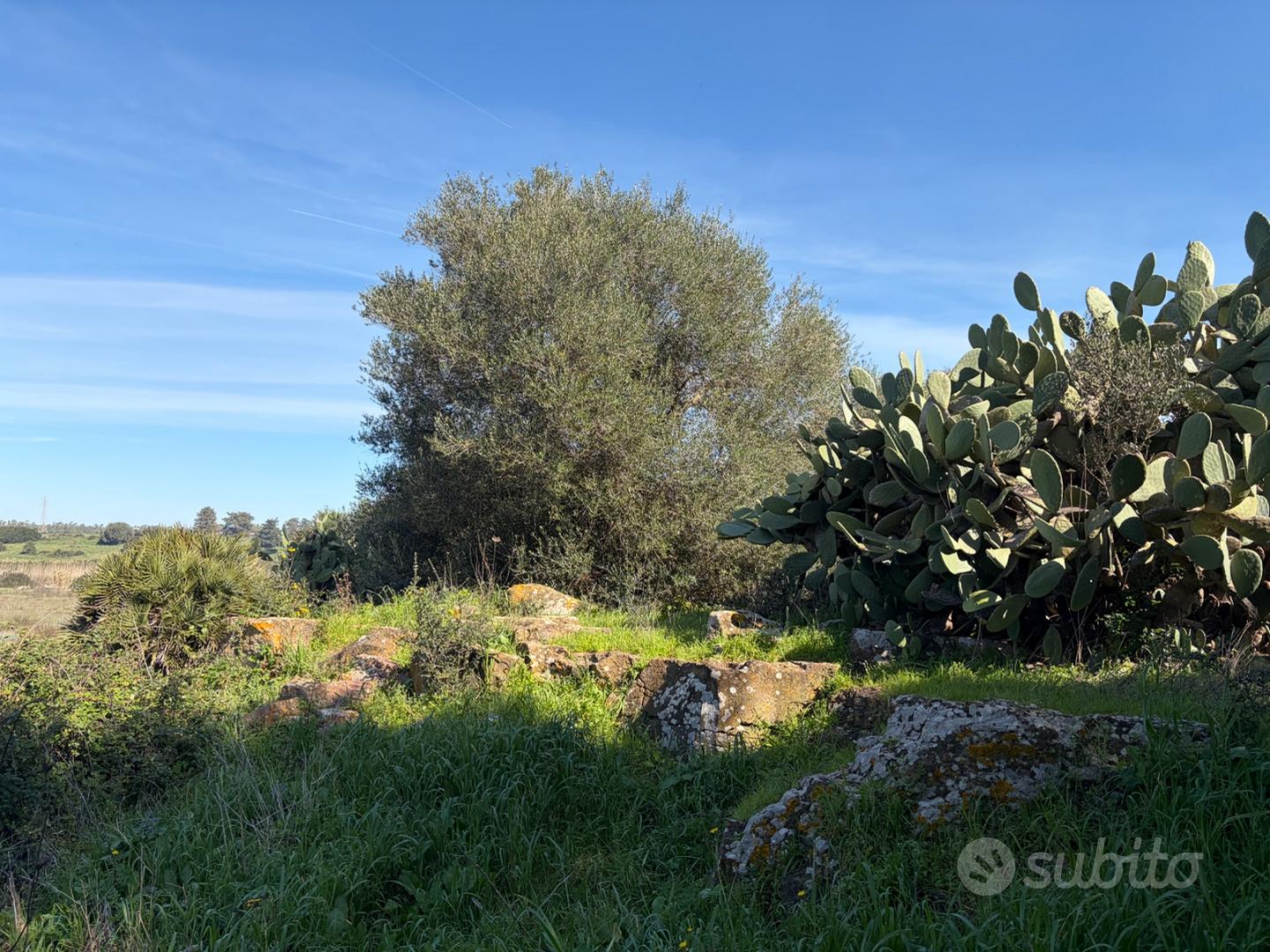 Terreno con rudere accatastato da ristrutturare - Altro
