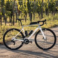 Bici strada Focus Paralane 8.8 anno MY24-26 - L