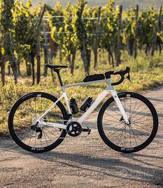 Bici strada Focus Paralane 8.8 anno MY24-26 - L