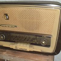 radio Synudine