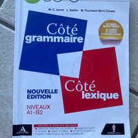 Cote grammaire- cote lexique