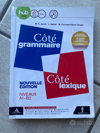 Cote grammaire- cote lexique