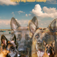 Cuccioli di Pastore Tedesco