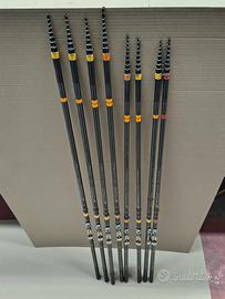 Canne trota lago Daiwa