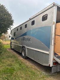 Van trasporto cavalli