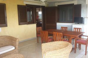 Estate 2026 borgo san basilio ulivi 1