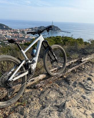 Specialized Kenevo SL 2 - Custom build