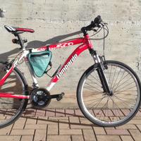 MTB lombardo 26