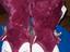 Immagine 2