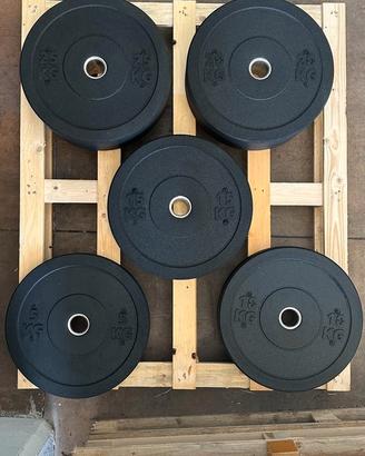 DISCHI DROPPABILI TIPO BUMPERS FORO 51 MM 