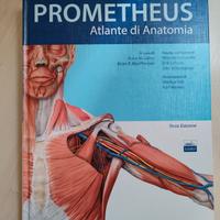 atlante di anatomia 
