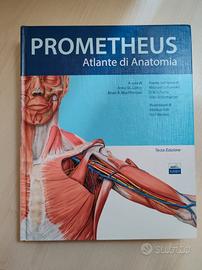 atlante di anatomia 