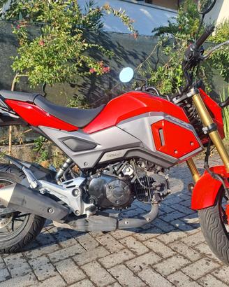 Honda Grom MSX 125