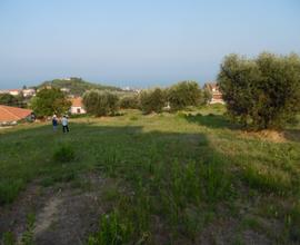 Terreno edificabile - Colonnella