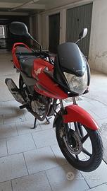 Honda CBF 125 (2008) - Revisionata e Bollo Pagato