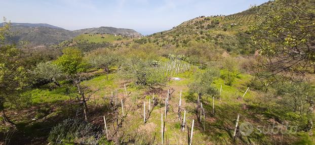 Terreno agricolo con abitazione rurale Pollina