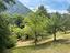 Immagine 19