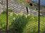Immagine 24