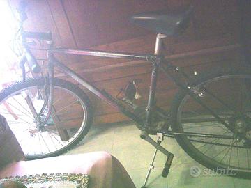 bicicletta