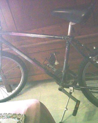 bicicletta