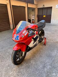 Honda CBR 600 F (2002) – SOLO PISTA