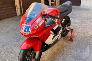 Honda CBR 600 F (2002) – SOLO PISTA