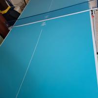 Tavolo da ping pong