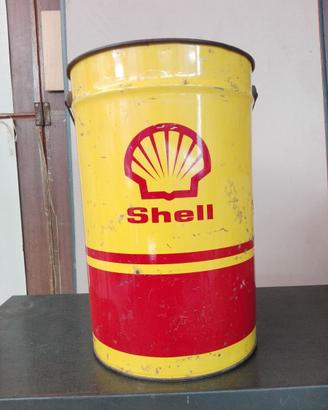 Shell Bidone da Collezione