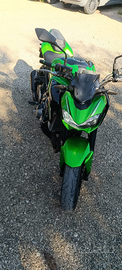 Kawasaki z900 anno 2017