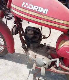 Moto morini